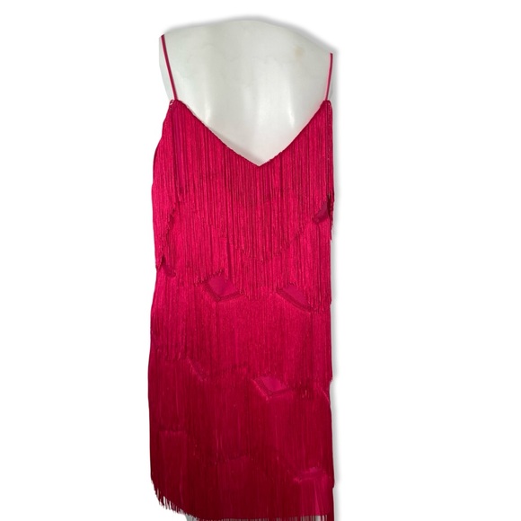 Finders Keepers Hot Pink Fringe Tassel Mini Dress - Picture 6 of 10